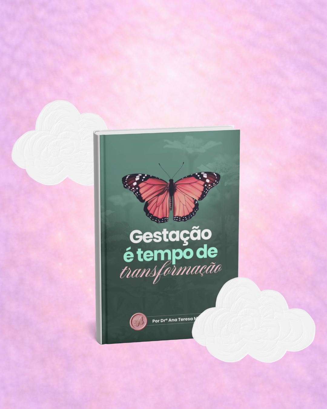 Gestação é tempo de transformação