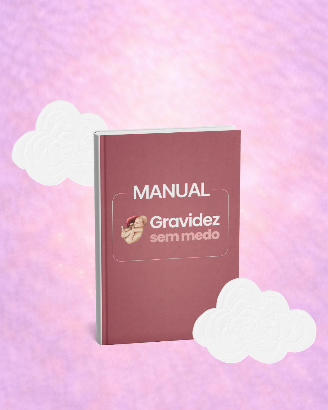 Manual da gravidez sem medo