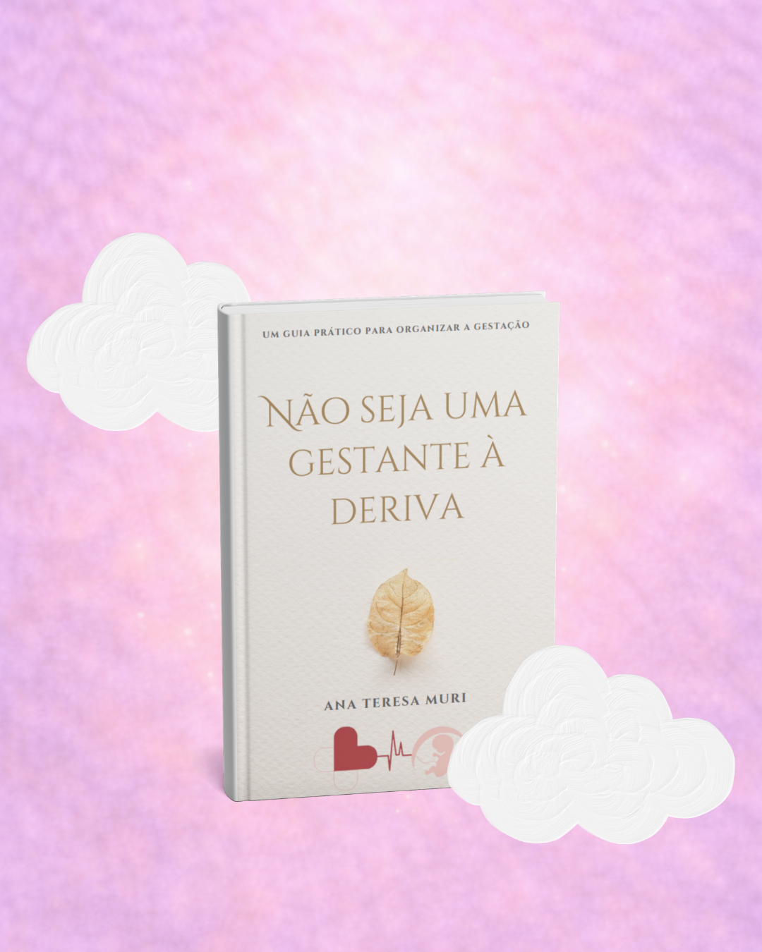 Não seja uma gestante à deriva